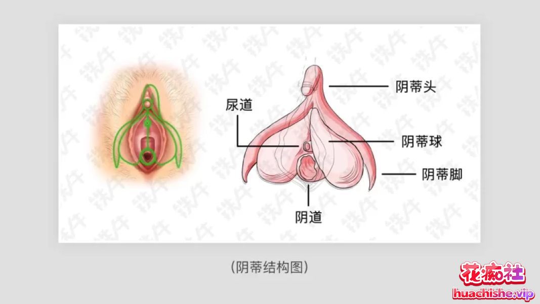 铁牛训练营